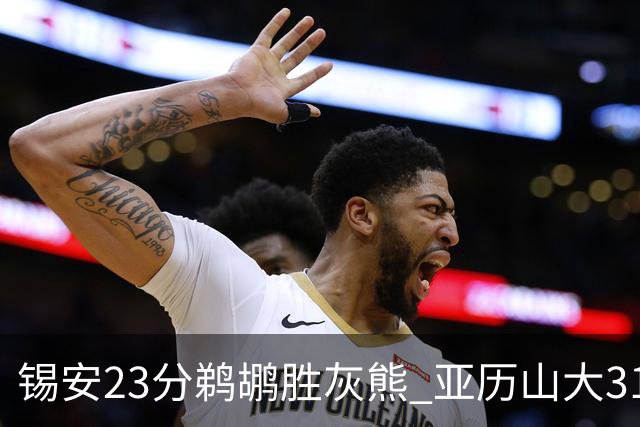 锡安23分鹈鹕胜灰熊 亚历山大31+10雷霆屠公牛
